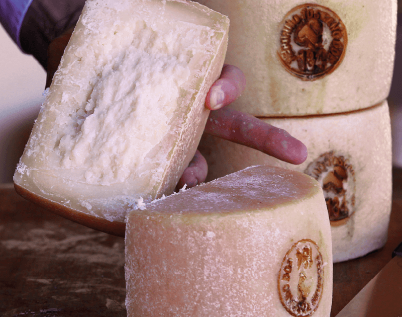 formaggio pecorino toscano dop