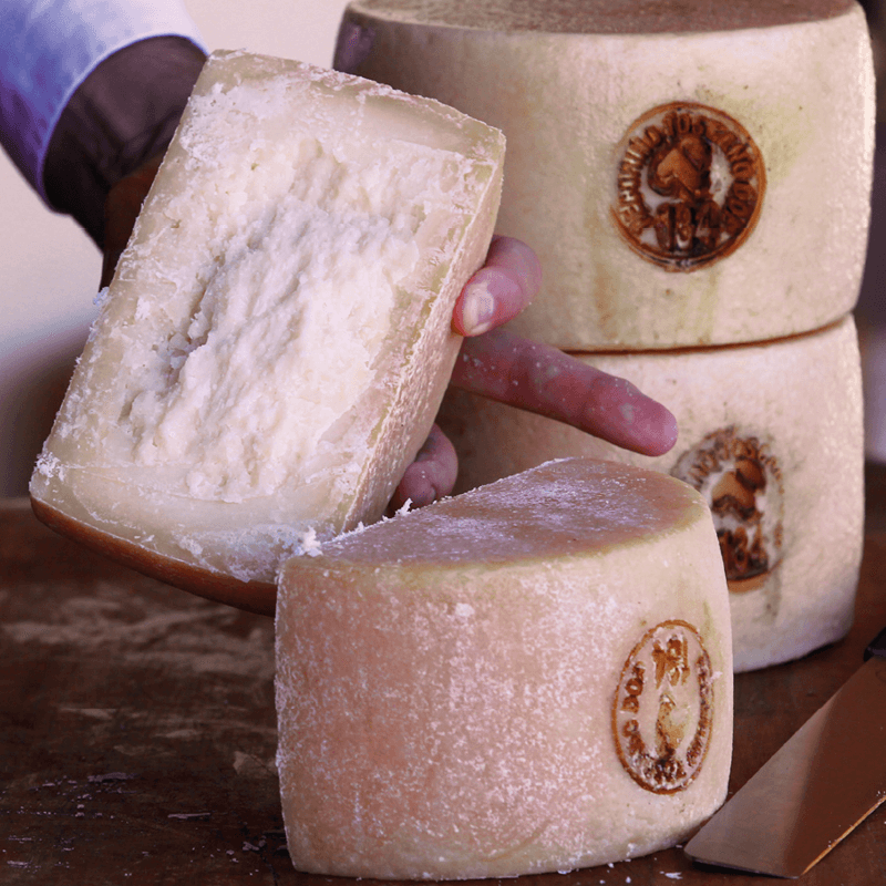 formaggio pecorino toscano dop