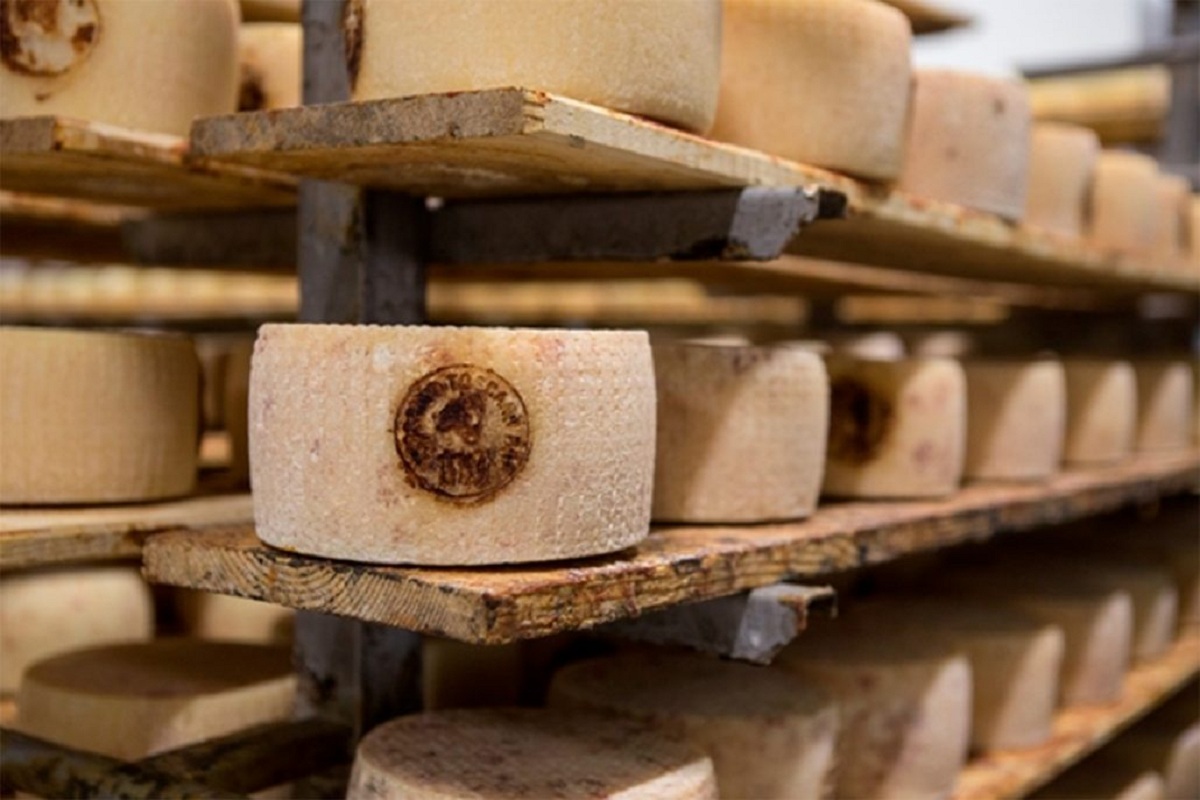 pecorino toscano dop marchio formaggio certificato e prodotto in toscana dop