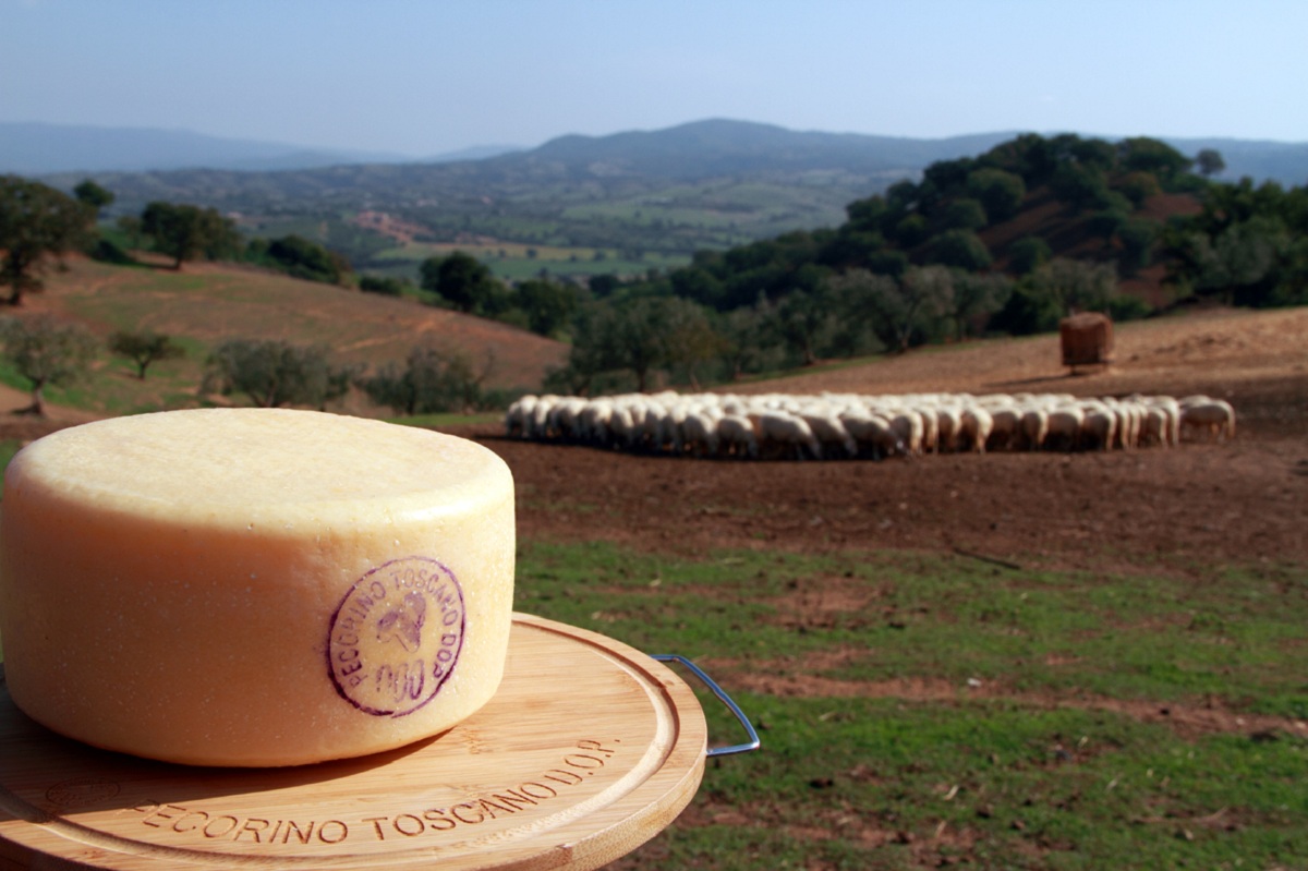Pecorino-Toscano-DOP