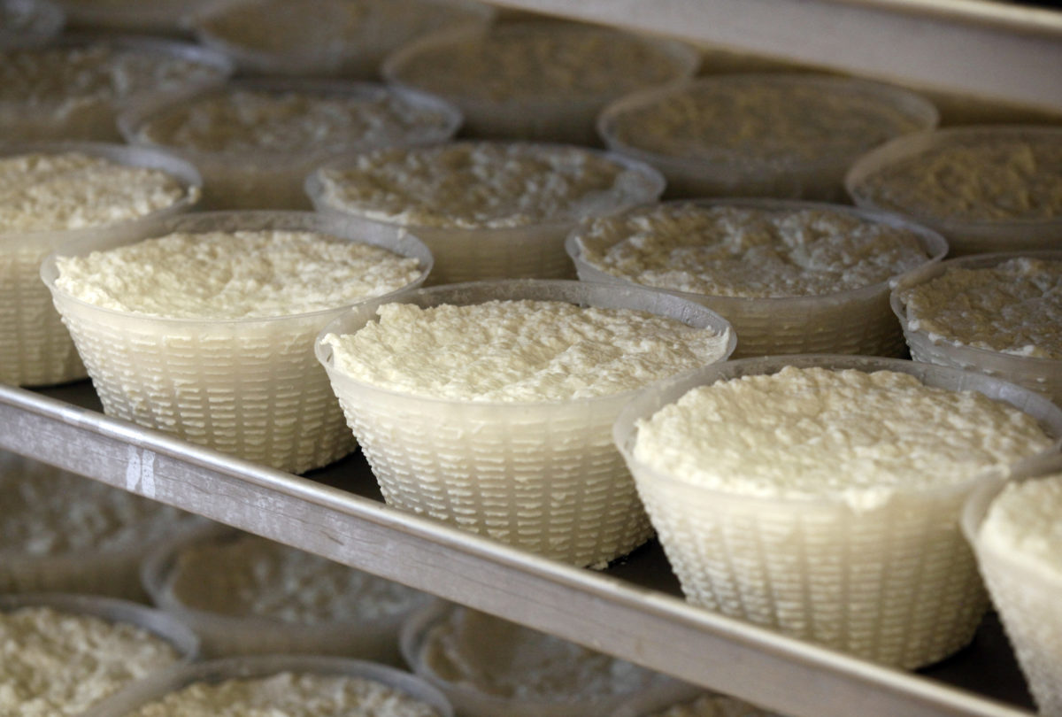 prodotto dalla famiglia spadi ricotta del caseificio follonica