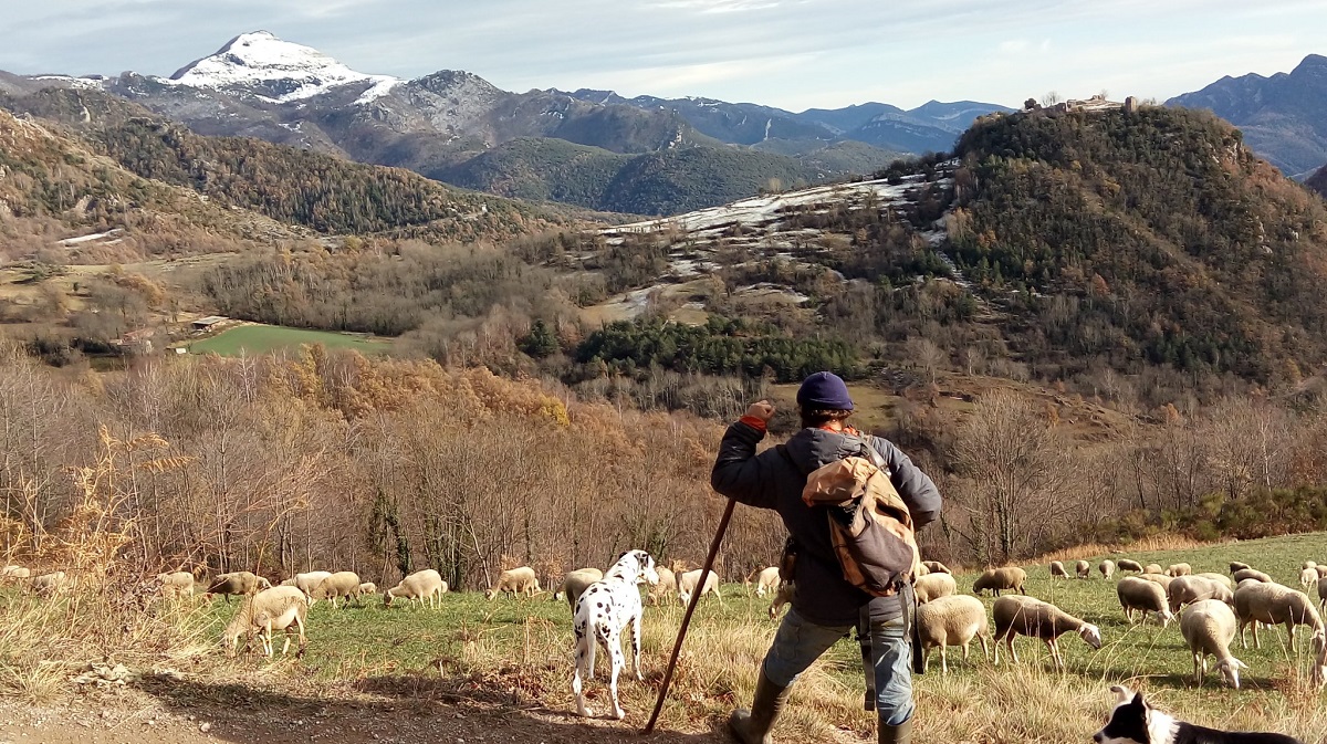 James Rebanks vita del pastore gran bretagna James Rebanks