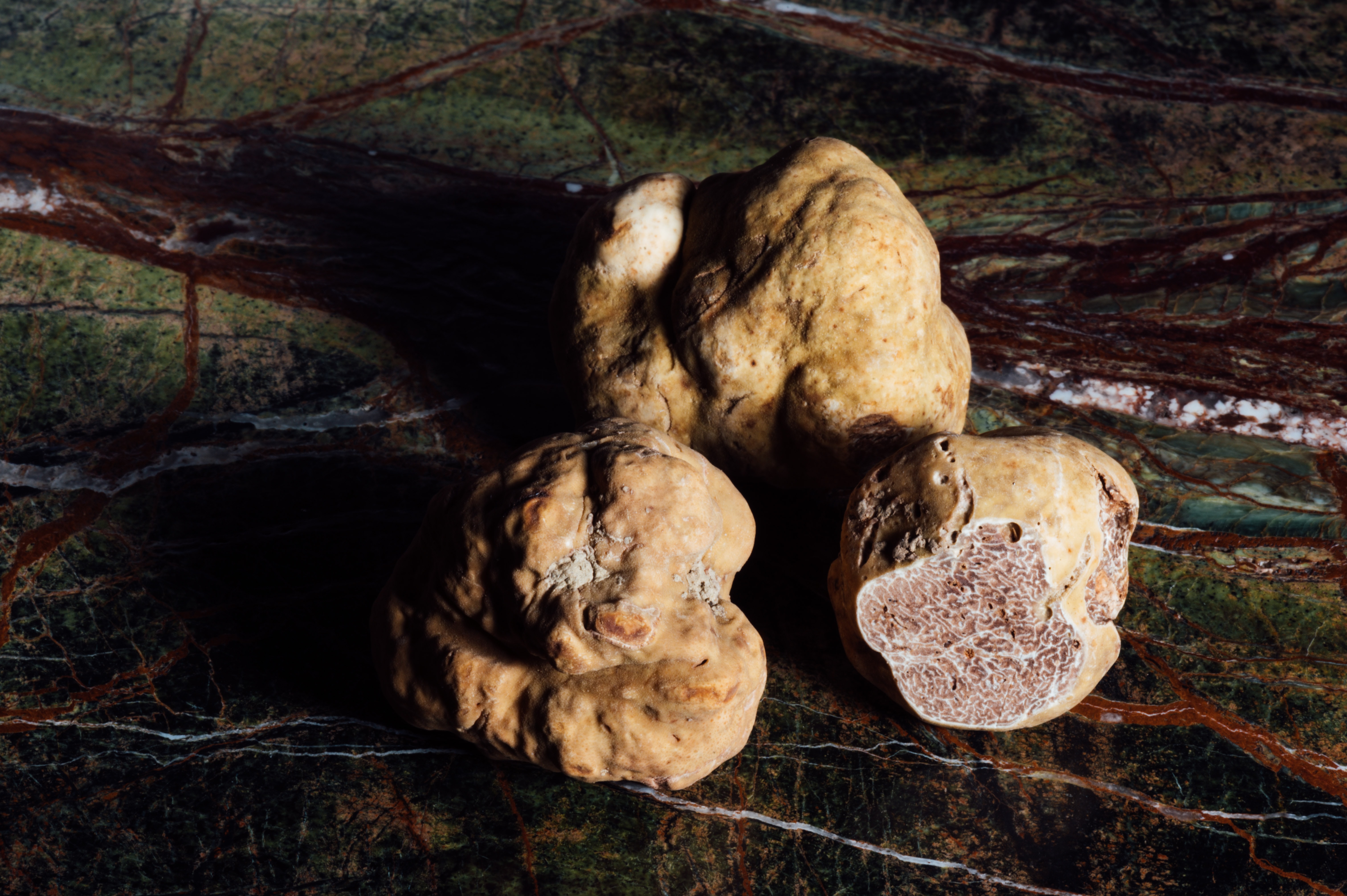 Tartufo 1 Photo by CHUTTERSNAP on Unsplash