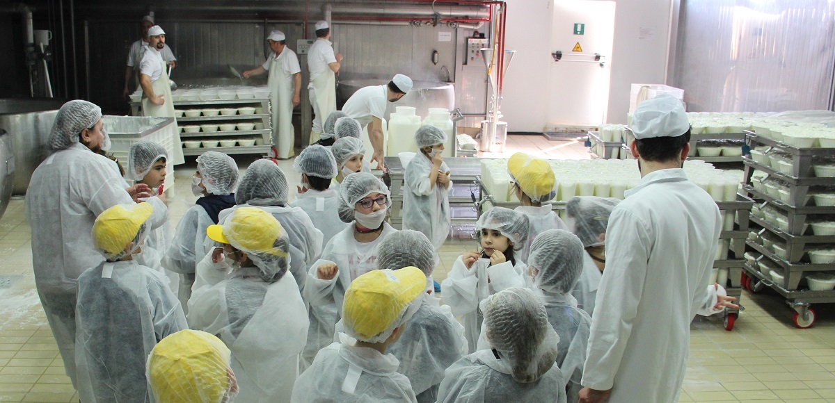 Bambini caseificio
