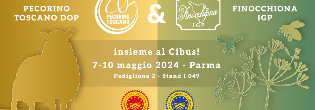 Cibus24 - anteprima