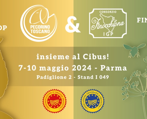 Cibus24 - anteprima