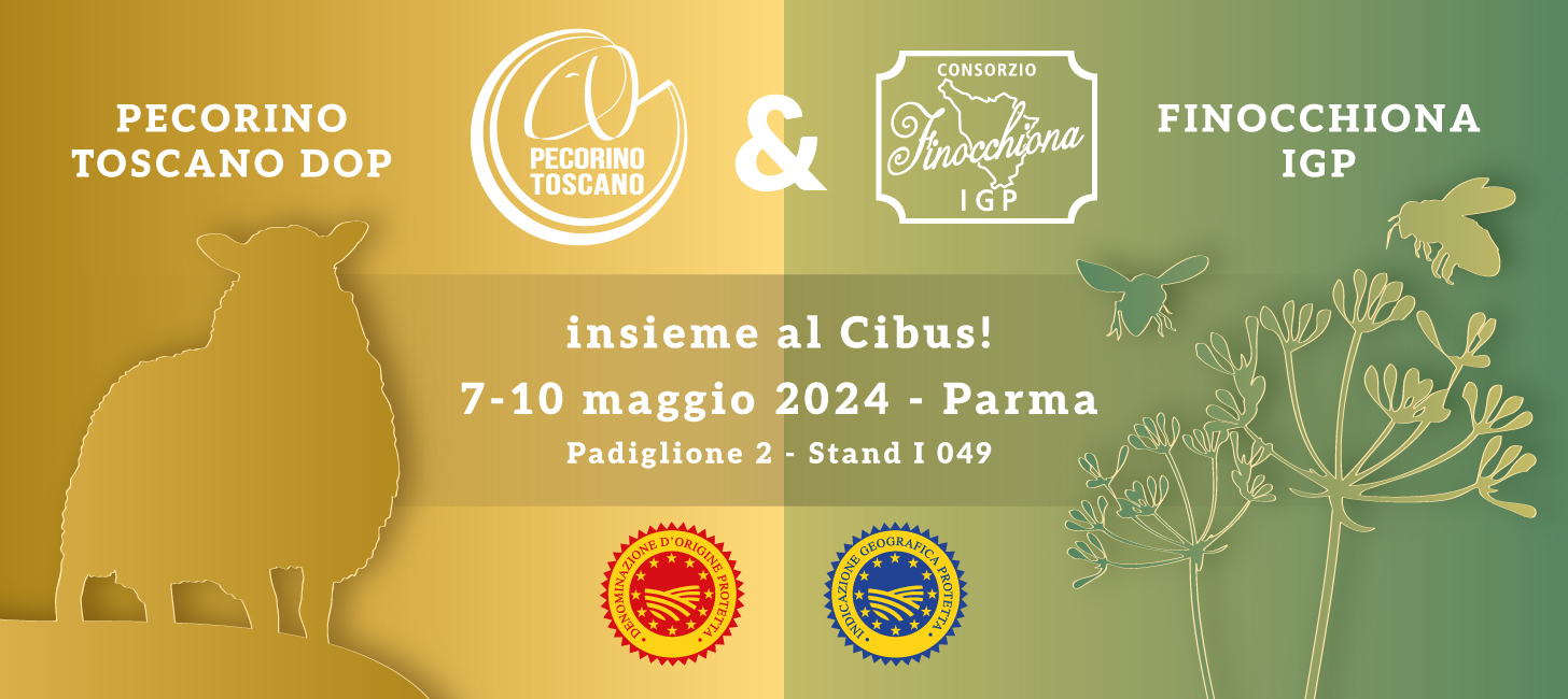 Cibus24 - anteprima