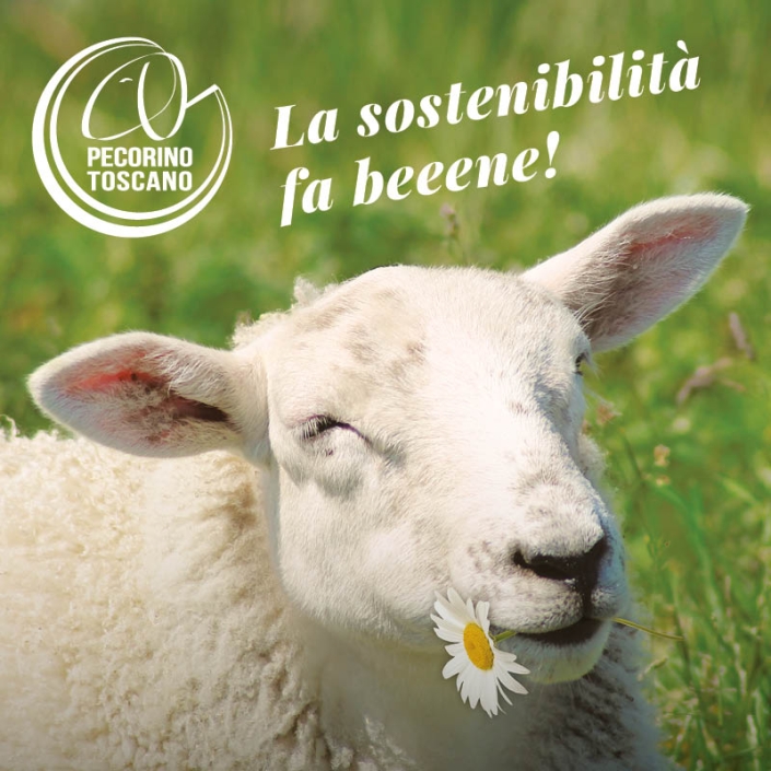 Campagna “La sostenibilità fa beeene!”